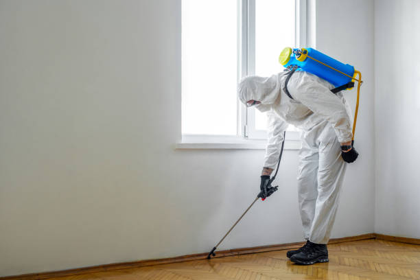 Galveston, TX Pest Control Company