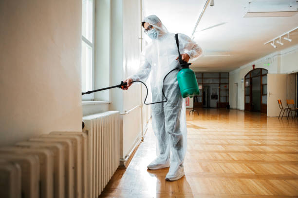 Best Exterminator Services  in Galveston, TX