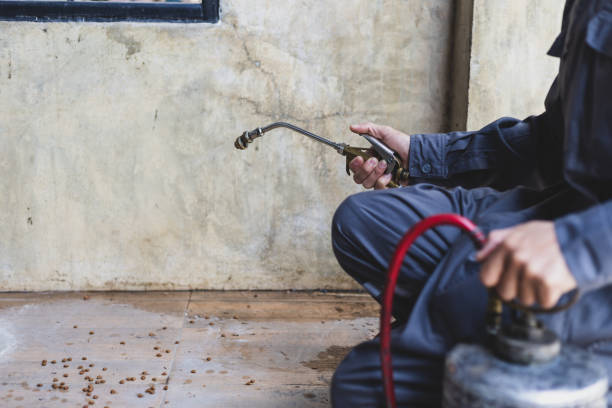 Best Exterminator Services  in Galveston, TX